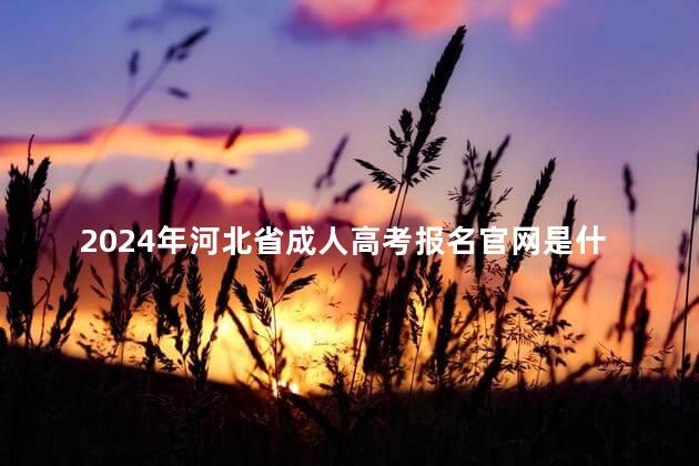 2024年河北省成人高考报名官网是什么