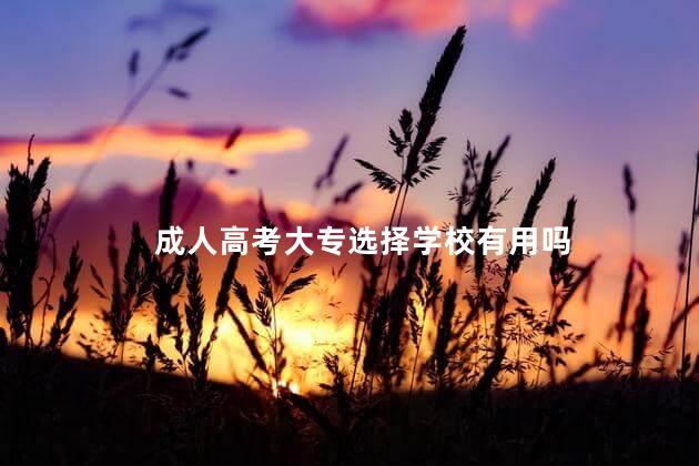 成人高考大专选择学校有用吗