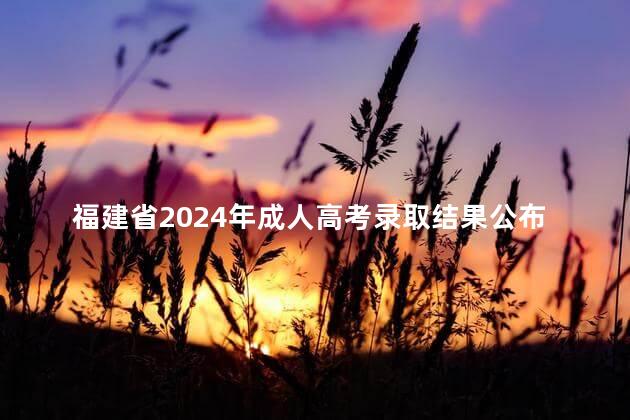 福建省2024年成人高考录取结果公布通告