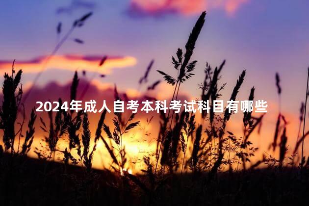 2024年成人自考本科考试科目有哪些