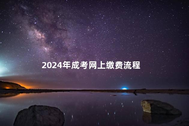 2024年成考网上缴费流程