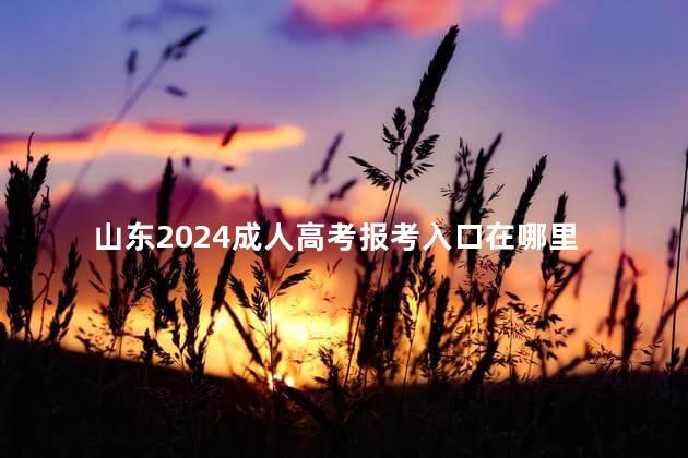 山东2024成人高考报考入口在哪里