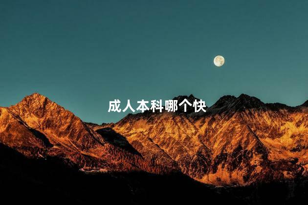 成人本科哪个快