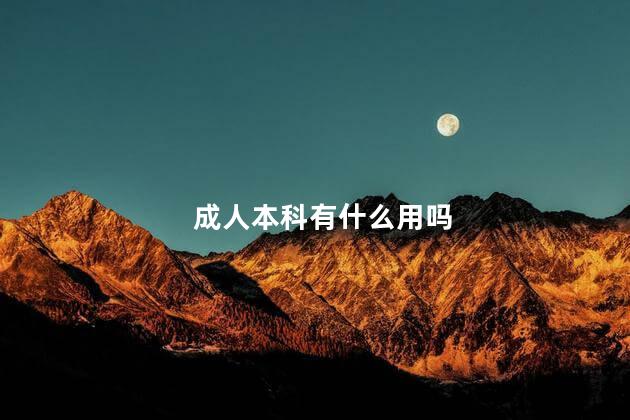 成人本科有什么用吗