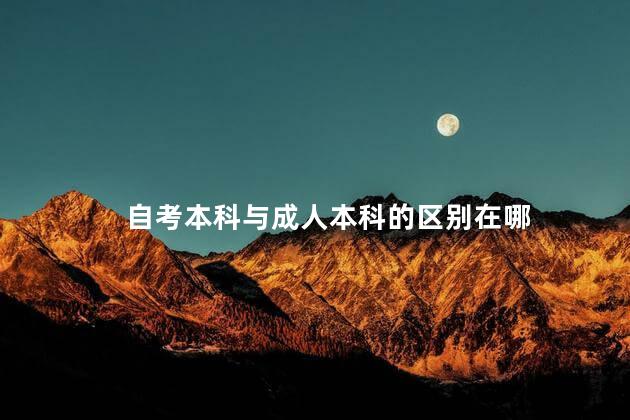 自考本科与成人本科的区别在哪