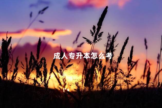 成人专升本怎么考