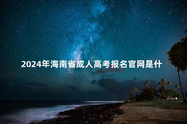 2024年海南省成人高考报名官网是什么