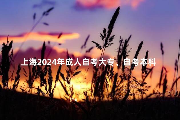 上海2024年成人自考大专、自考本科多久才能毕业