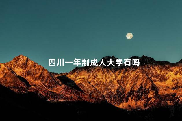 四川一年制成人大学有吗