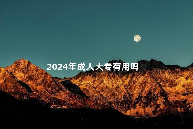 2024年成人大专有用吗