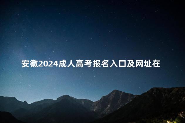 安徽2024成人高考报名入口及网址在哪里