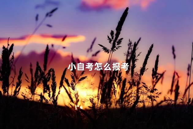 小自考怎么报考