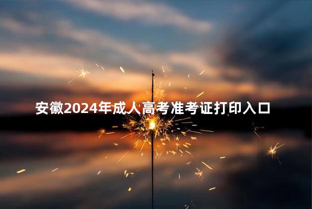 安徽2024年成人高考准考证打印入口