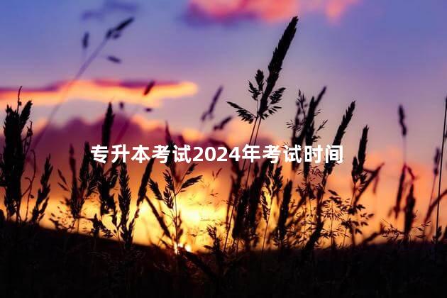 专升本考试2024年考试时间