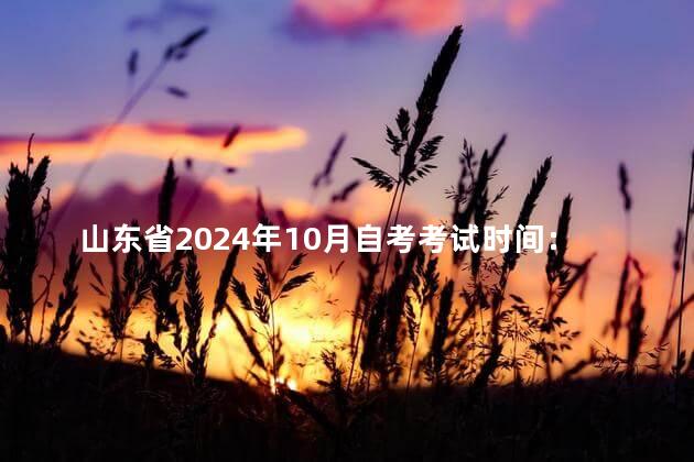 山东省2024年10月自考考试时间：10月22日至25日