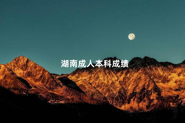 湖南成人本科成绩