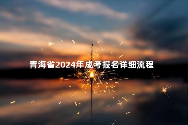 青海省2024年成考报名详细流程