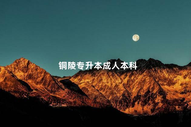 铜陵专升本成人本科