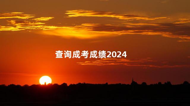 查询成考成绩2024