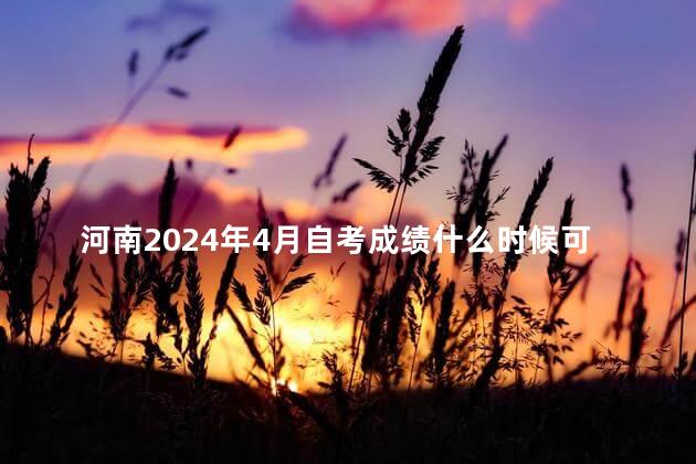 河南2024年4月自考成绩什么时候可以公布