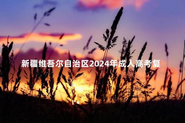 新疆维吾尔自治区2024年成人高考复核成绩申请表