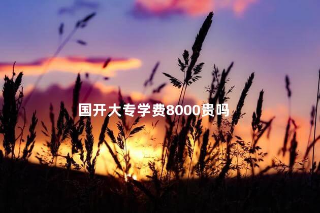 国开大专学费8000贵吗